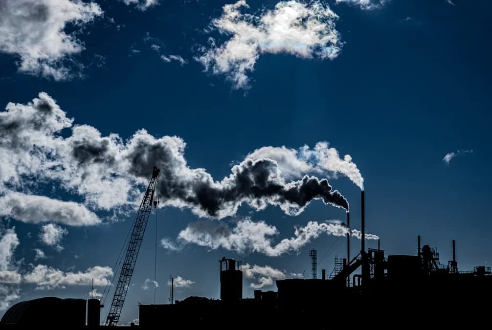 Southern Ocean: Underestimated Summer Biological Productivity Impacts Carbon Cycle in 2026