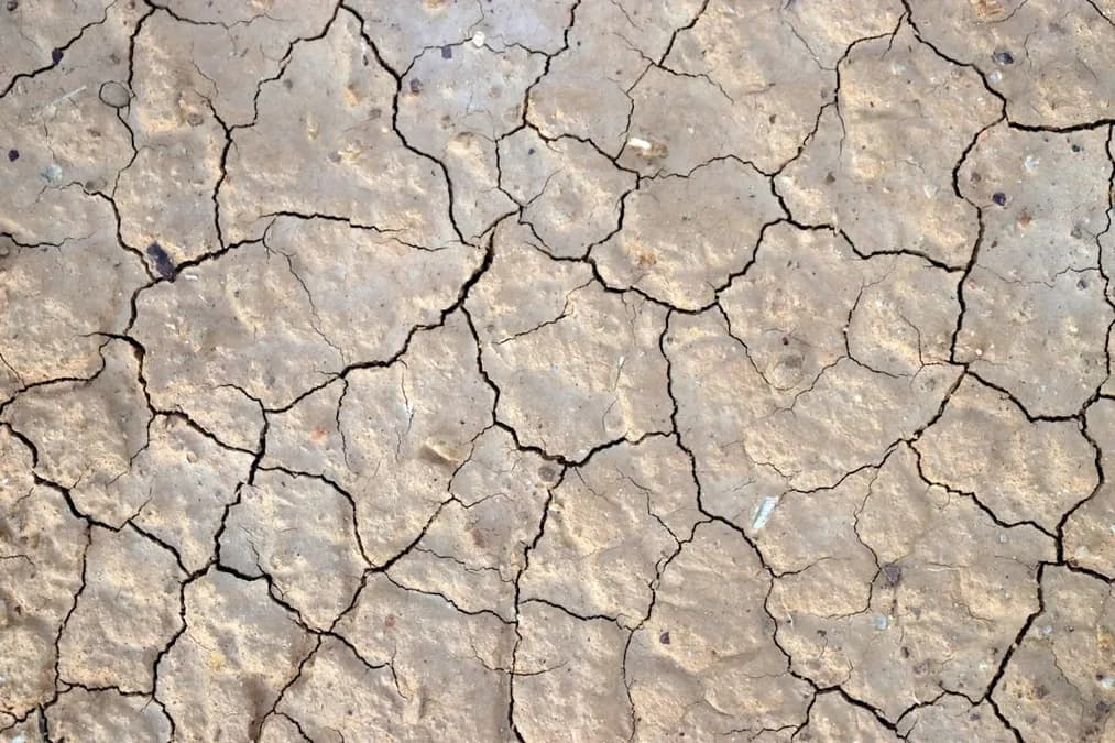 Malaisie 2026 : la technique de l’ensemencement des nuages pour sauver la production de riz en pleine sécheresse