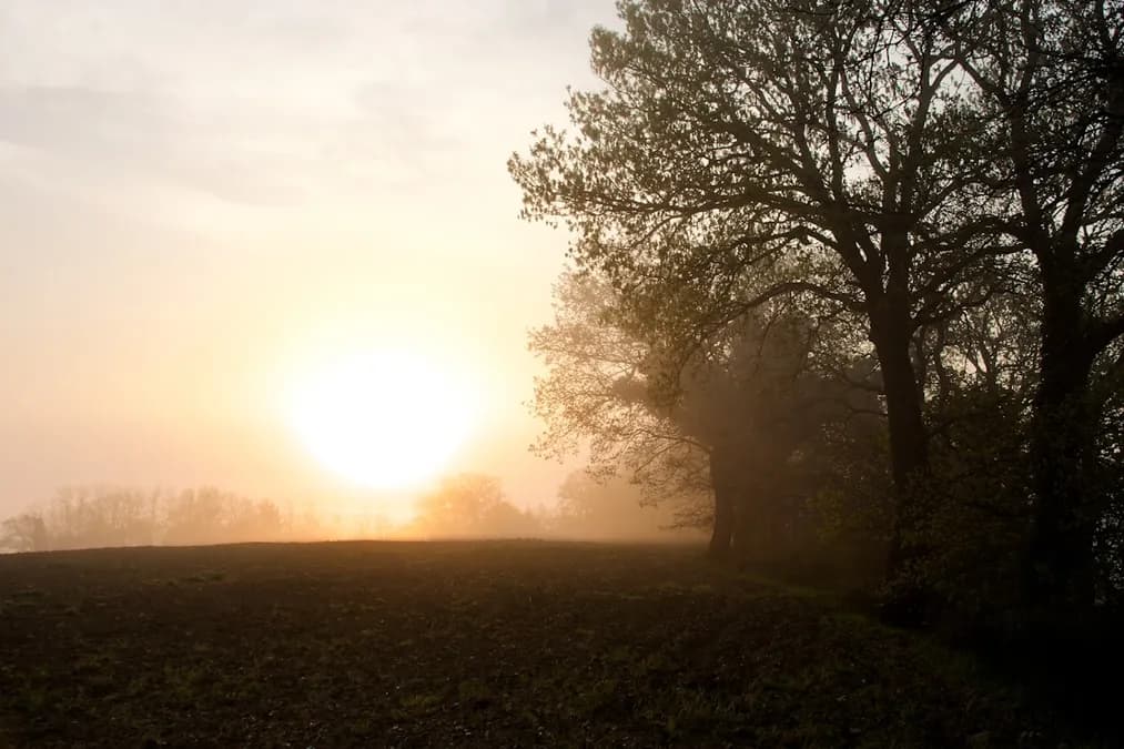Comment le brouillard matinal enveloppe les Alpes Victoriennes en automne austral