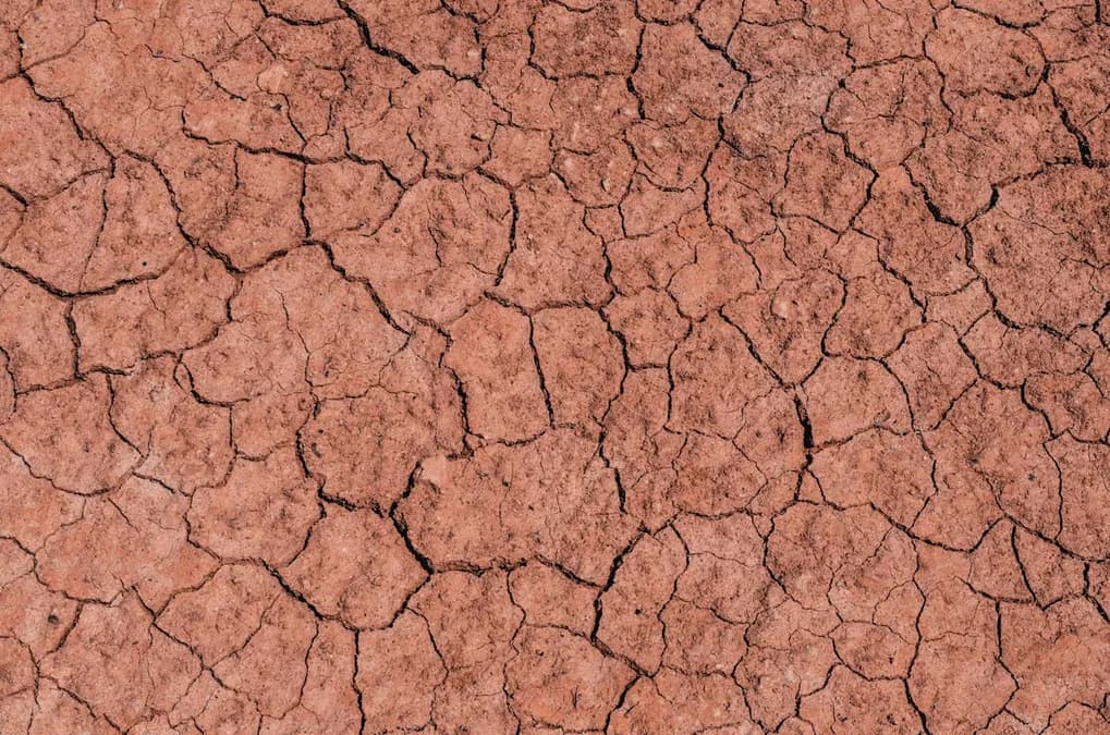 Comment l’IA de la NASA révolutionne la surveillance des sécheresses agricoles mondiales