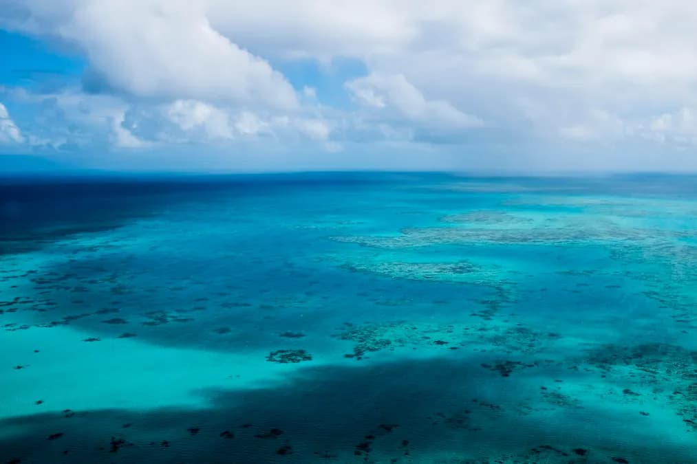 Vagues de chaleur marines : le lien surprenant entre l'océan Indien et les Caraïbes