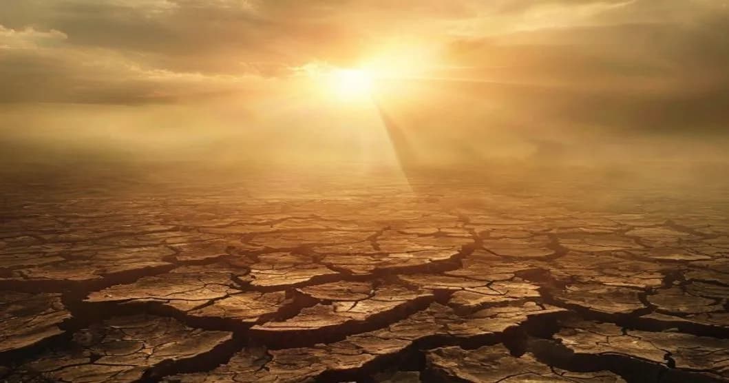 Canicule en France : l'adaptation climatique, un défi urgent pour tous