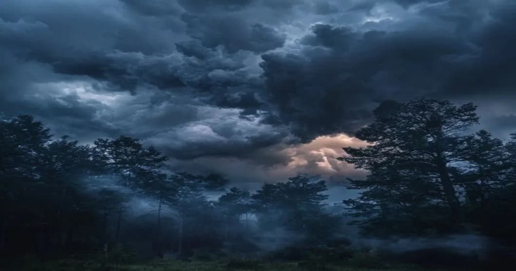 Forêts françaises menacées par la stratégie climatique