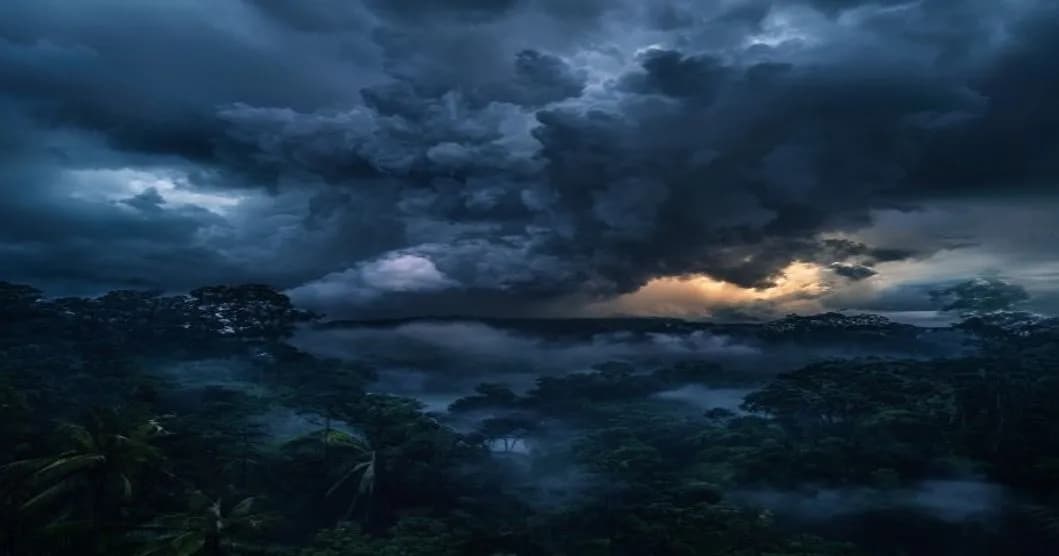 Forêt amazonienne : comment les arbres s'adaptent au réchauffement climatique