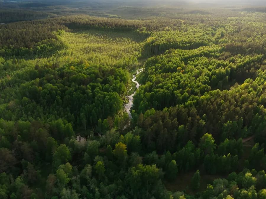 Feu de forêt en Andalousie : douze morts et un été à haut risque