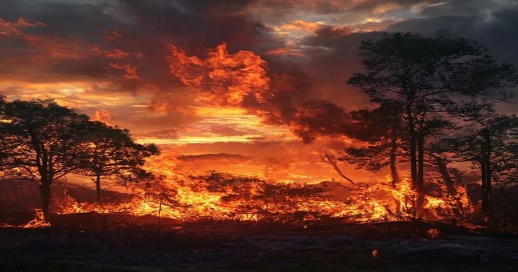 Incendies en France : 13 566 feux recensés depuis le début de l'été