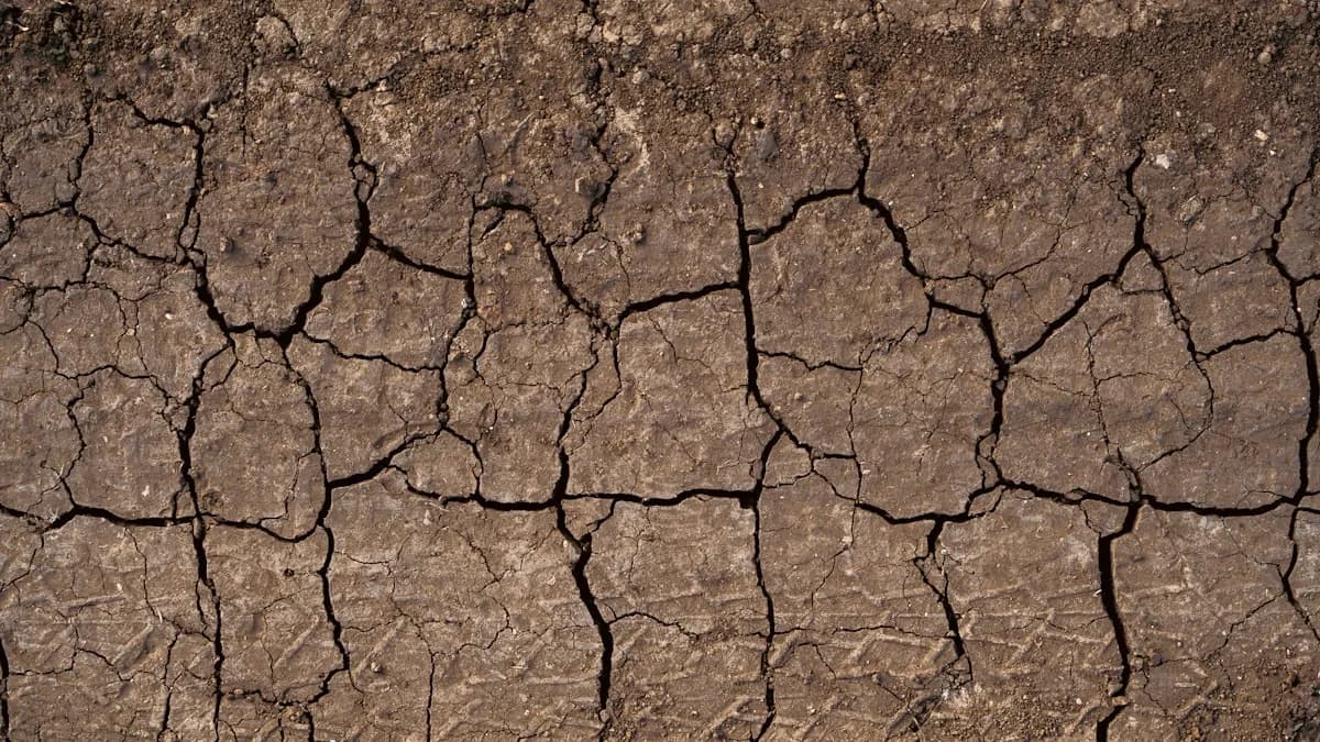 Sécheresse historique aux Pays-Bas : l'eau en jeu