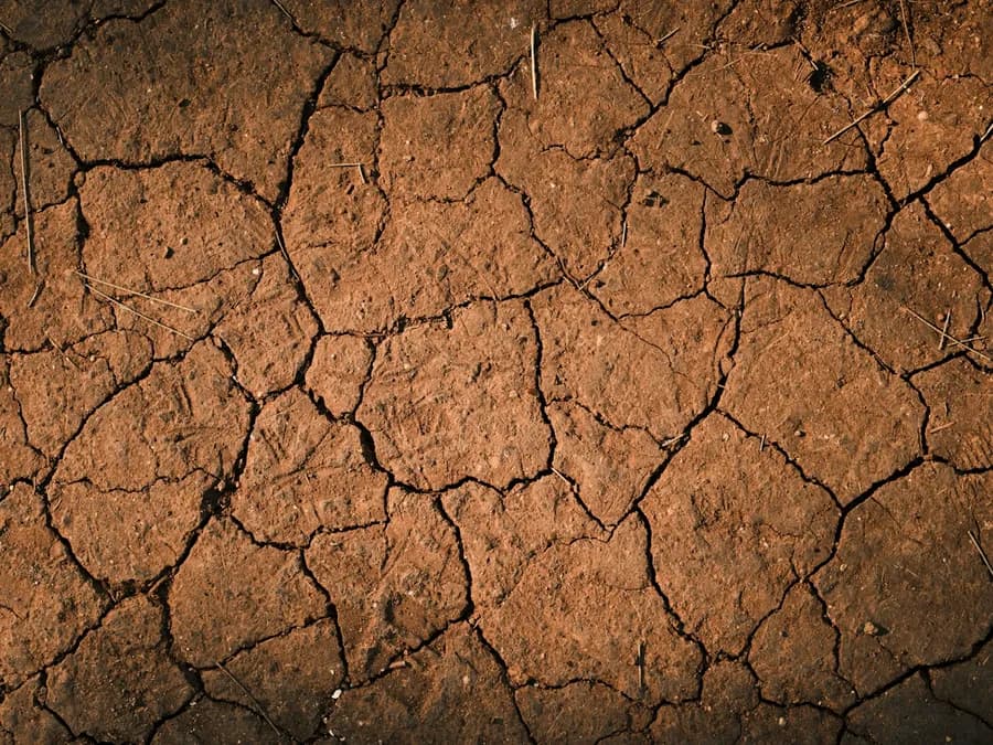 Sécheresse en France : agriculture en crise