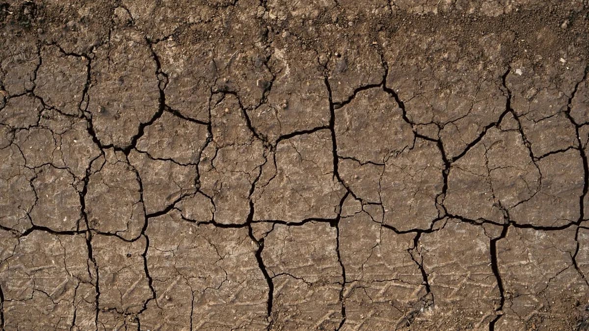Comment le village de Colomieu a limité inondations et sécheresse par l'infiltration d'eau