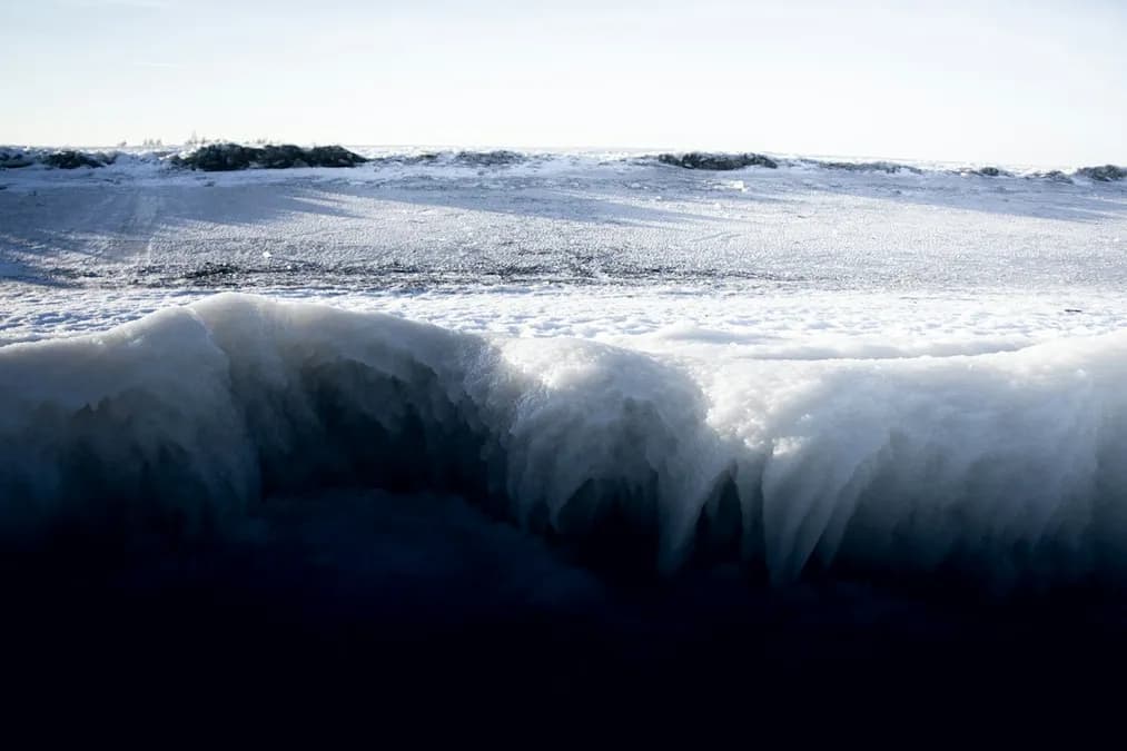 Fonte des glaces dans les océans polaires : impacts sur la faune arctique et antarctique
