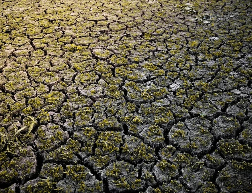 El Niño exceptionnel : impacts sur l'alimentation, feux de forêt et énergie cette semaine