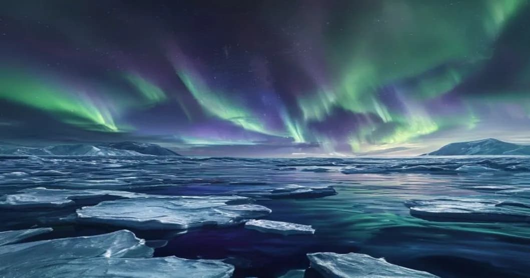 Déclin de la glace de mer arctique en hiver